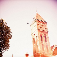 tower and bird